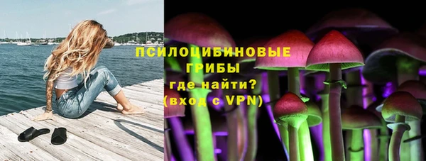 spice Алексеевка