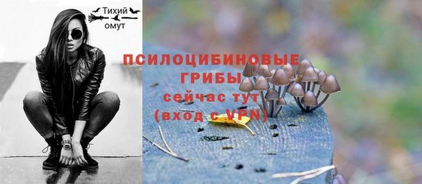 spice Алексеевка