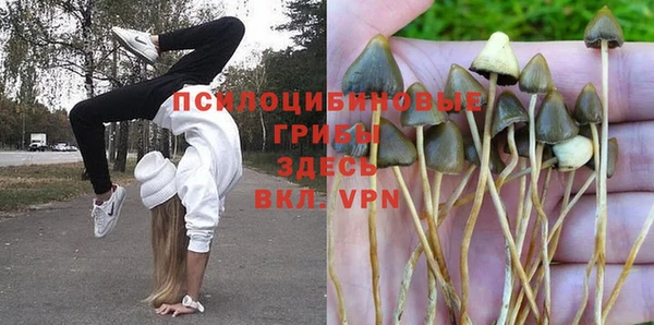 каннабис Алексин